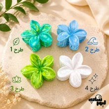 کلیپس پلومریا سرامیکی